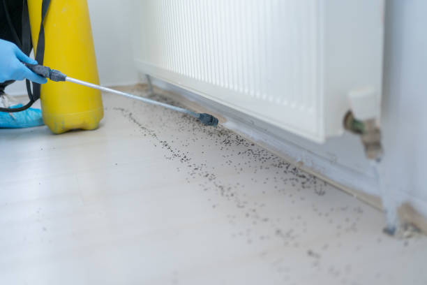 Best Pest Removal Services  in Beaver Dam Lake, NY